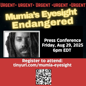 Online Press Release